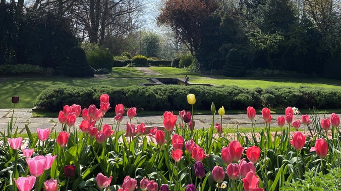 Tulips in the foreground with lawn and a formal pond beyond